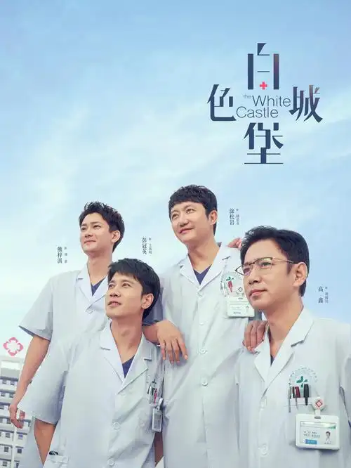 第二十条街剧集封面